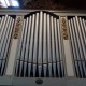 correggioli (1)